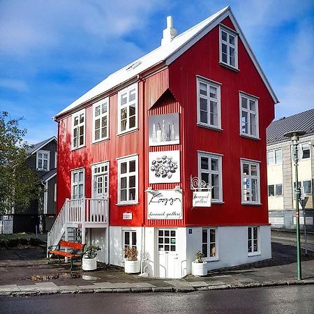 House Of The Snowbird Apartment Reykjavik Bagian luar foto